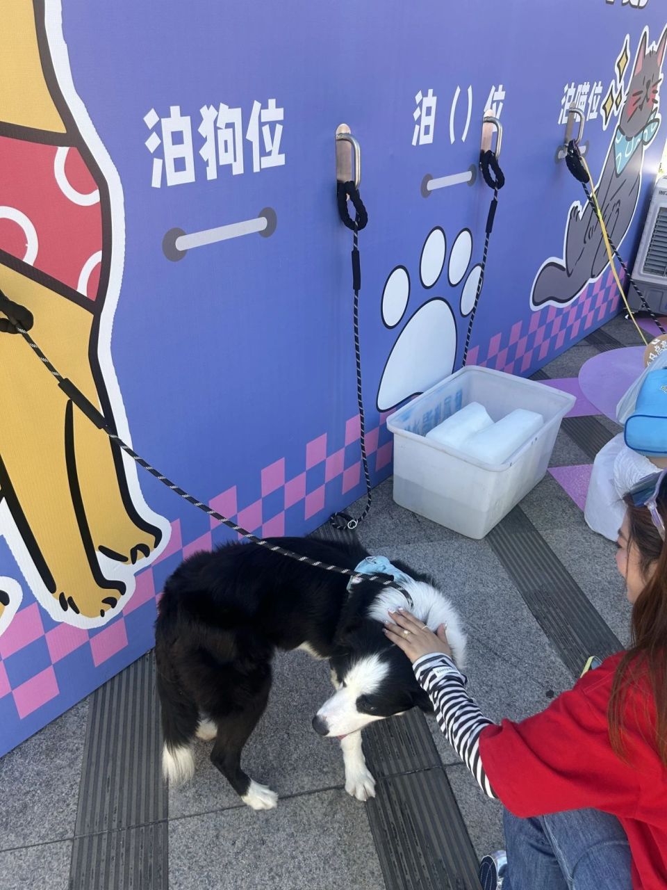 ligat, oFcpE ligat, oFcpE