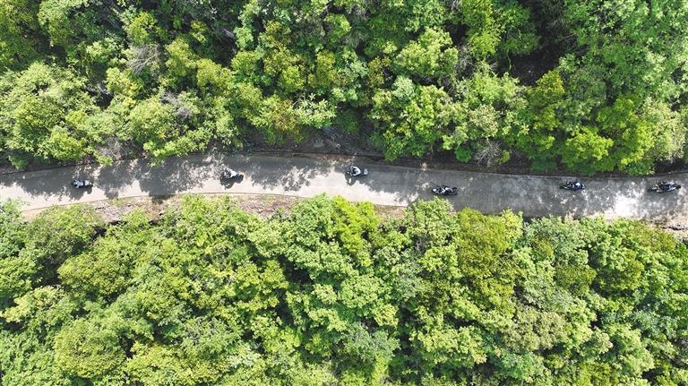 减轻财政负, 赛事火爆 减轻财政负, 赛事火爆