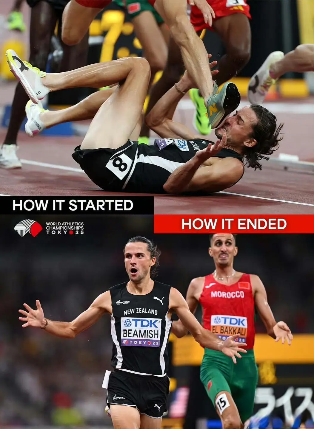 的十年垄断, img 的十年垄断, img